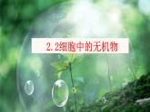 2.2细胞中的无机物课件2022-2023学年高一上学期生物人教版必修1