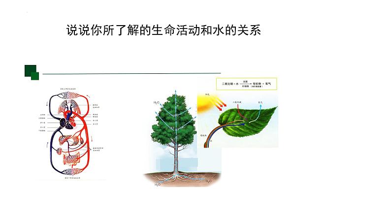 2.2细胞中的无机物课件2022-2023学年高一上学期生物人教版必修1第3页