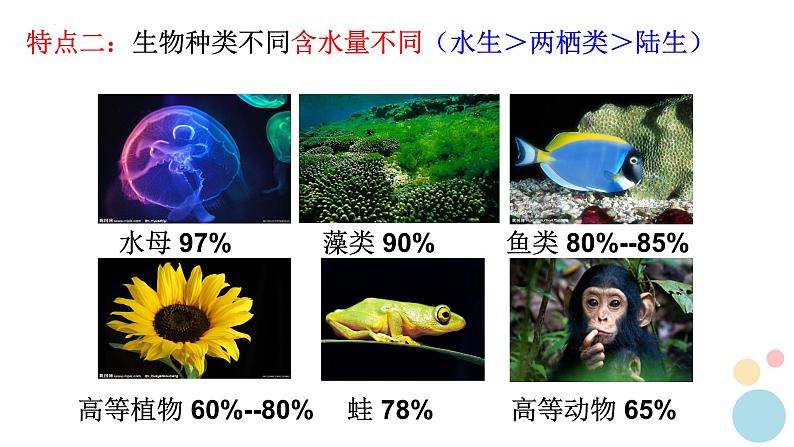 2.2细胞中的无机物课件2022-2023学年高一上学期生物人教版必修1第6页