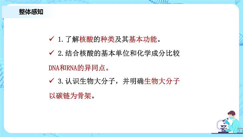 2.5《核酸是遗传信息的携带者》课件+教案+练习04