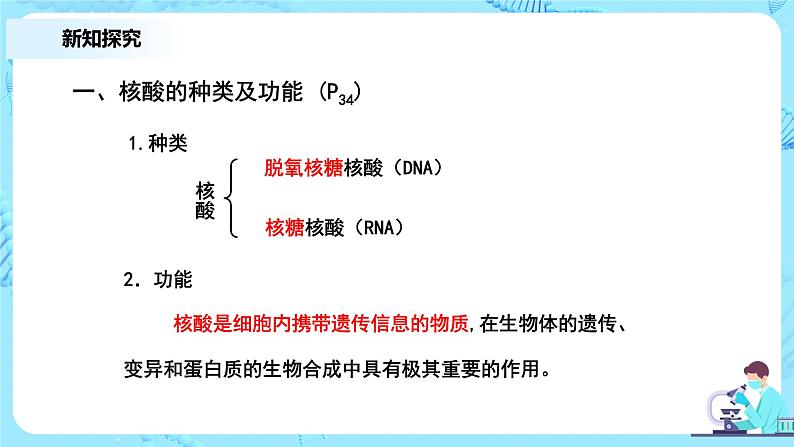 2.5《核酸是遗传信息的携带者》课件+教案+练习05