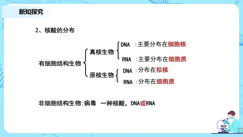 2.5《核酸是遗传信息的携带者》课件+教案+练习06