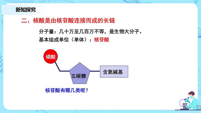 2.5《核酸是遗传信息的携带者》课件+教案+练习07