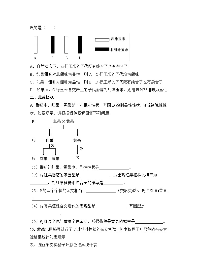 2021-2022学年下学期高一生物暑假巩固练习1 孟德尔的豌豆杂交实验（一）03