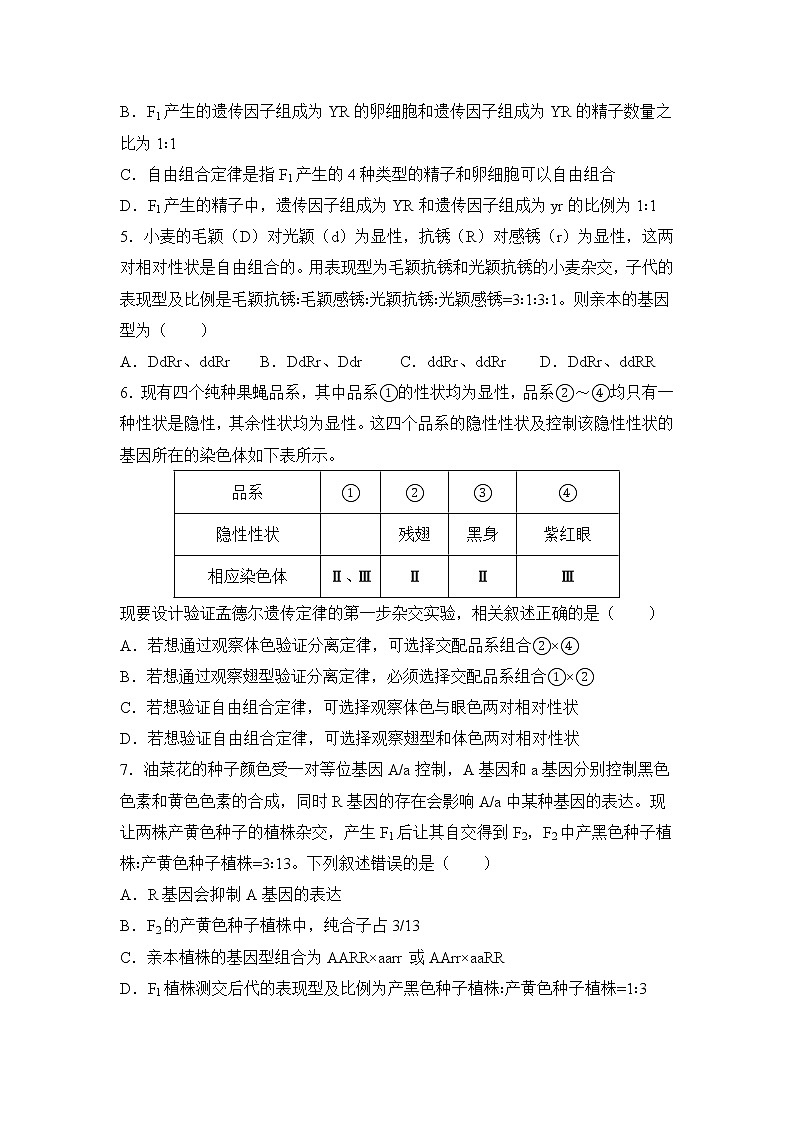 2021-2022学年下学期高一生物暑假巩固练习2 孟德尔的豌豆杂交实验（二）02