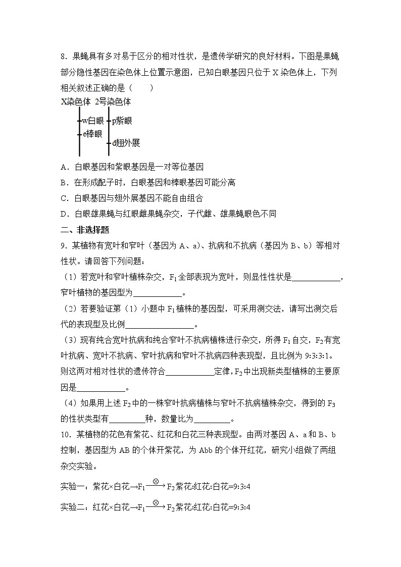 2021-2022学年下学期高一生物暑假巩固练习2 孟德尔的豌豆杂交实验（二）03
