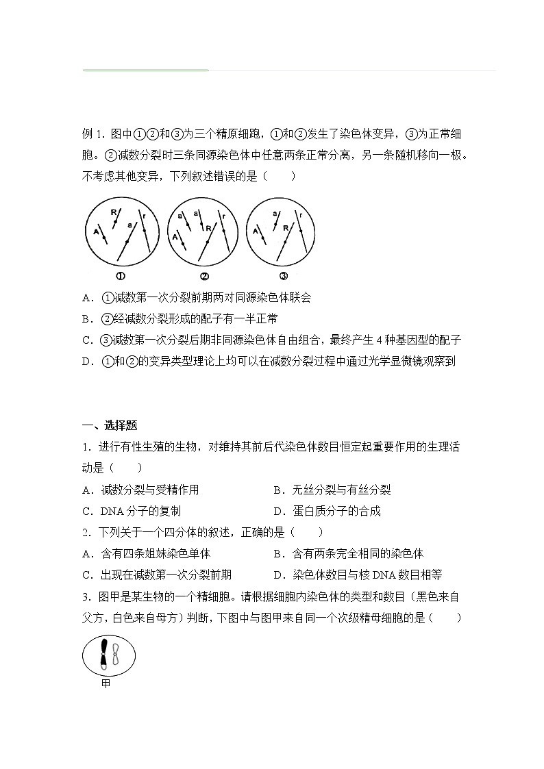 2021-2022学年下学期高一生物暑假巩固练习3 减数分裂和受精作用  基因在染色体上01