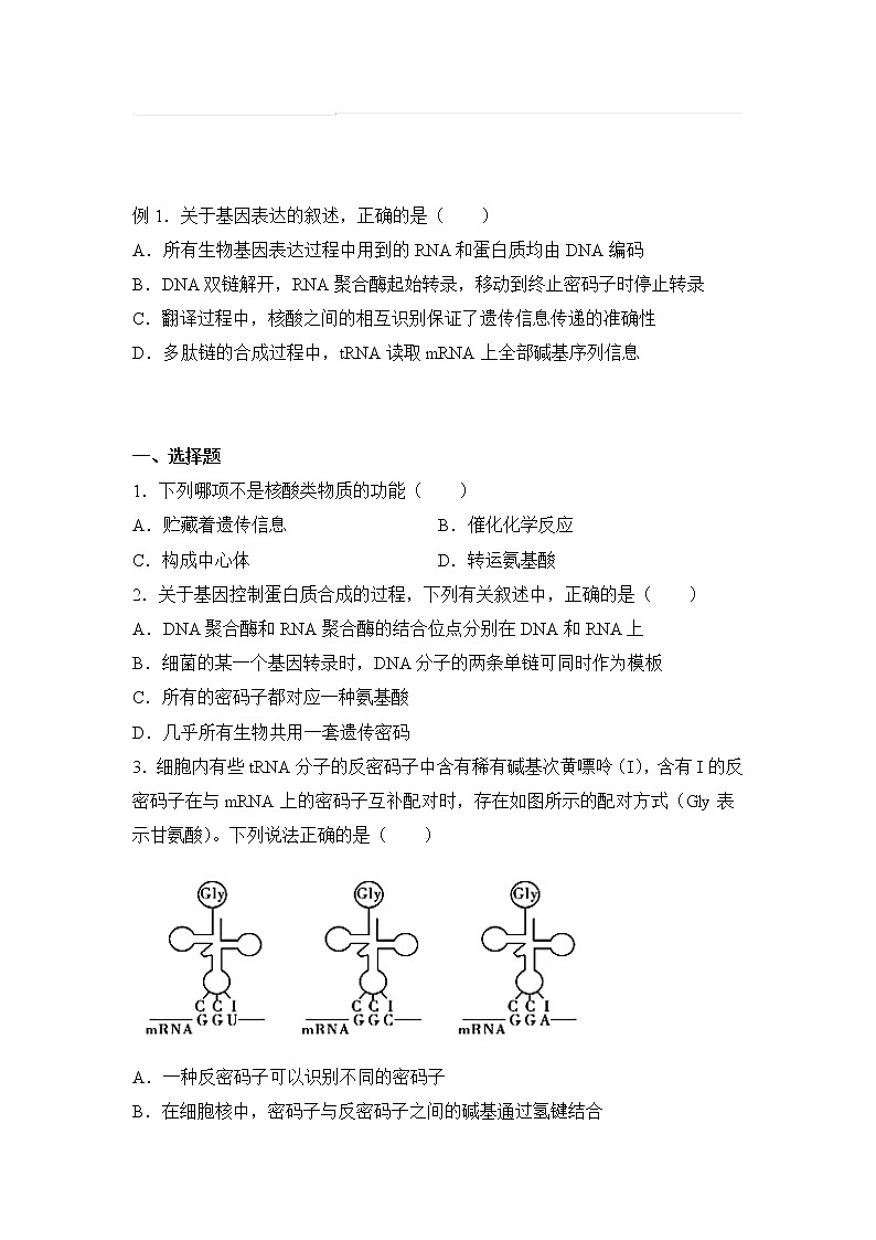 2021-2022学年下学期高一生物暑假巩固练习5 基因的表达01