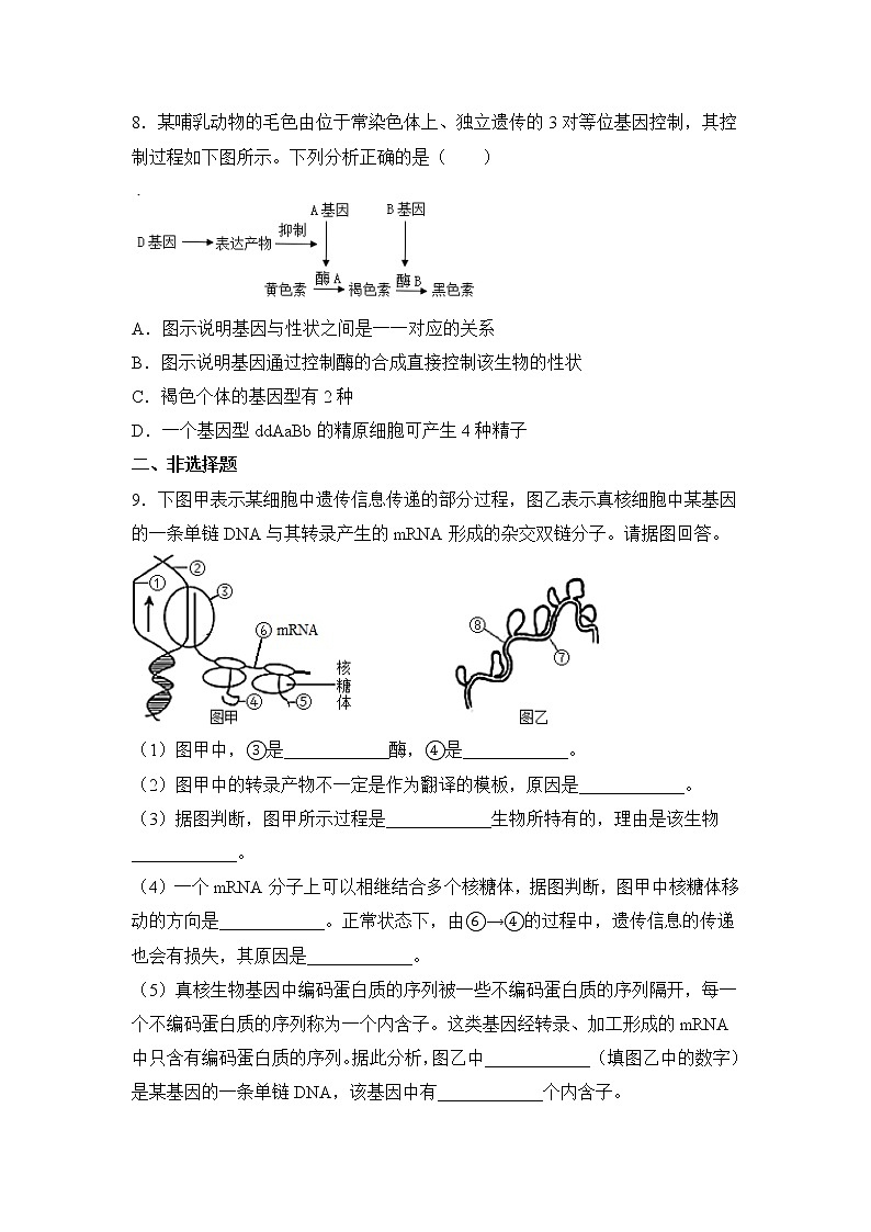 2021-2022学年下学期高一生物暑假巩固练习5 基因的表达03