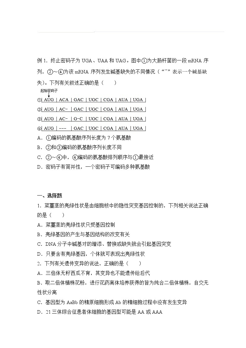 2021-2022学年下学期高一生物暑假巩固练习6 基因突变、基因重组及染色体变异01