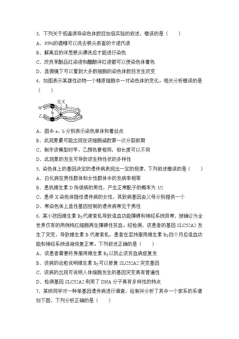 2021-2022学年下学期高一生物暑假巩固练习6 基因突变、基因重组及染色体变异02