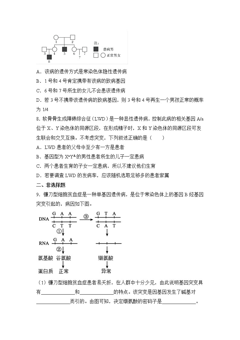 2021-2022学年下学期高一生物暑假巩固练习6 基因突变、基因重组及染色体变异03