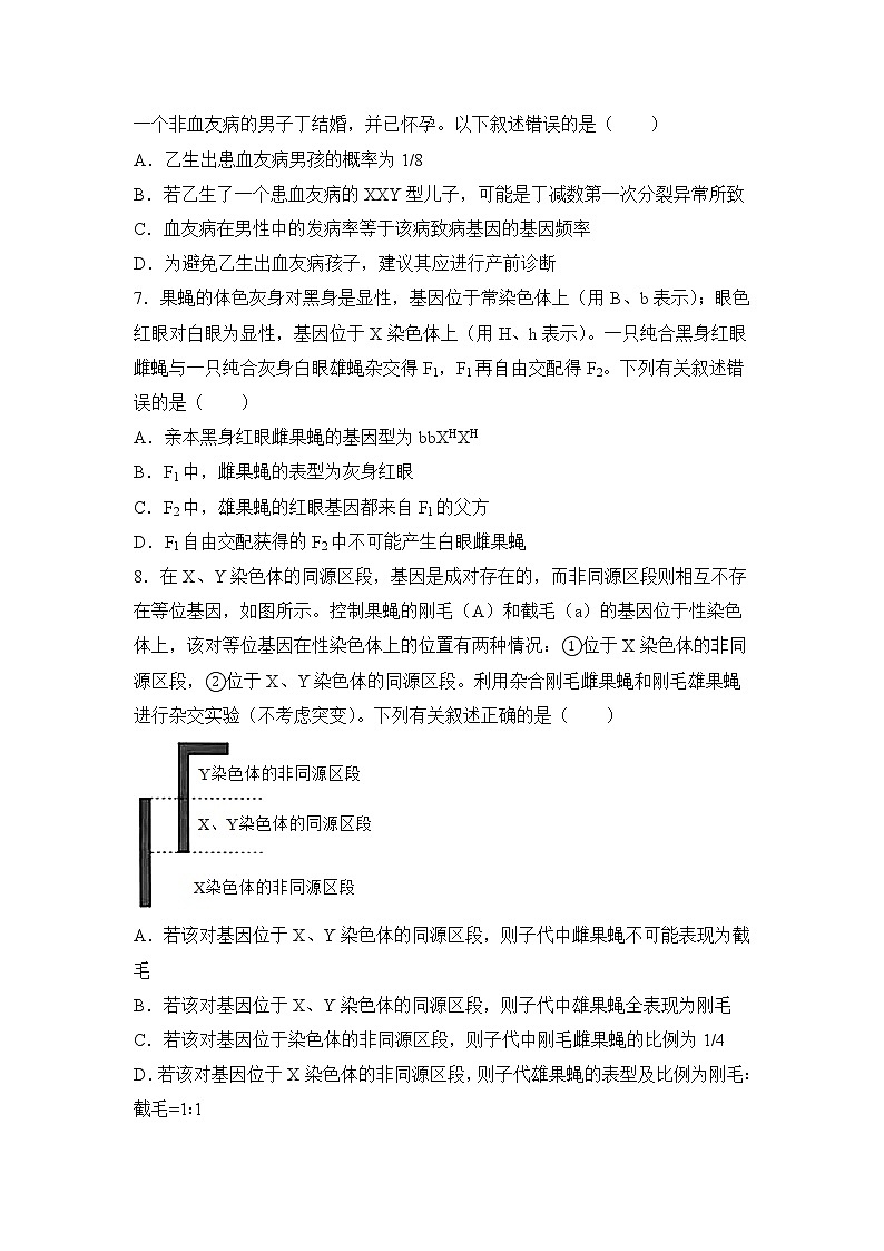 2021-2022学年下学期高一生物暑假巩固练习7 伴性遗传和人类遗传病03