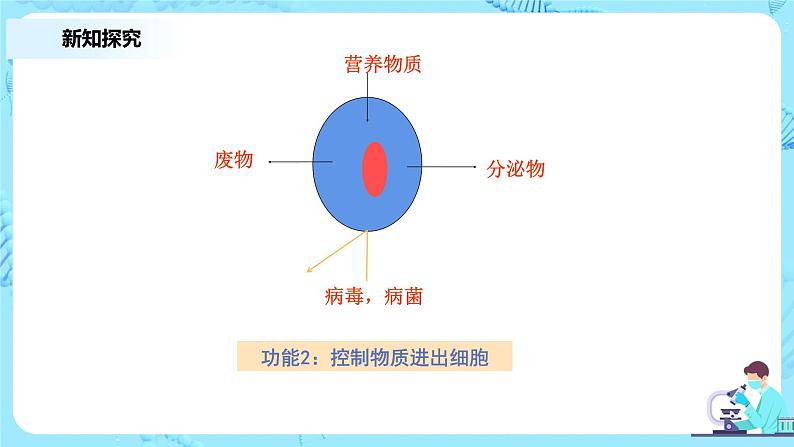 3.1《细胞膜的结构和功能》教案+课件+练习05