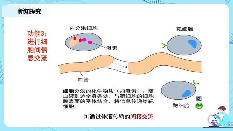 3.1《细胞膜的结构和功能》教案+课件+练习06