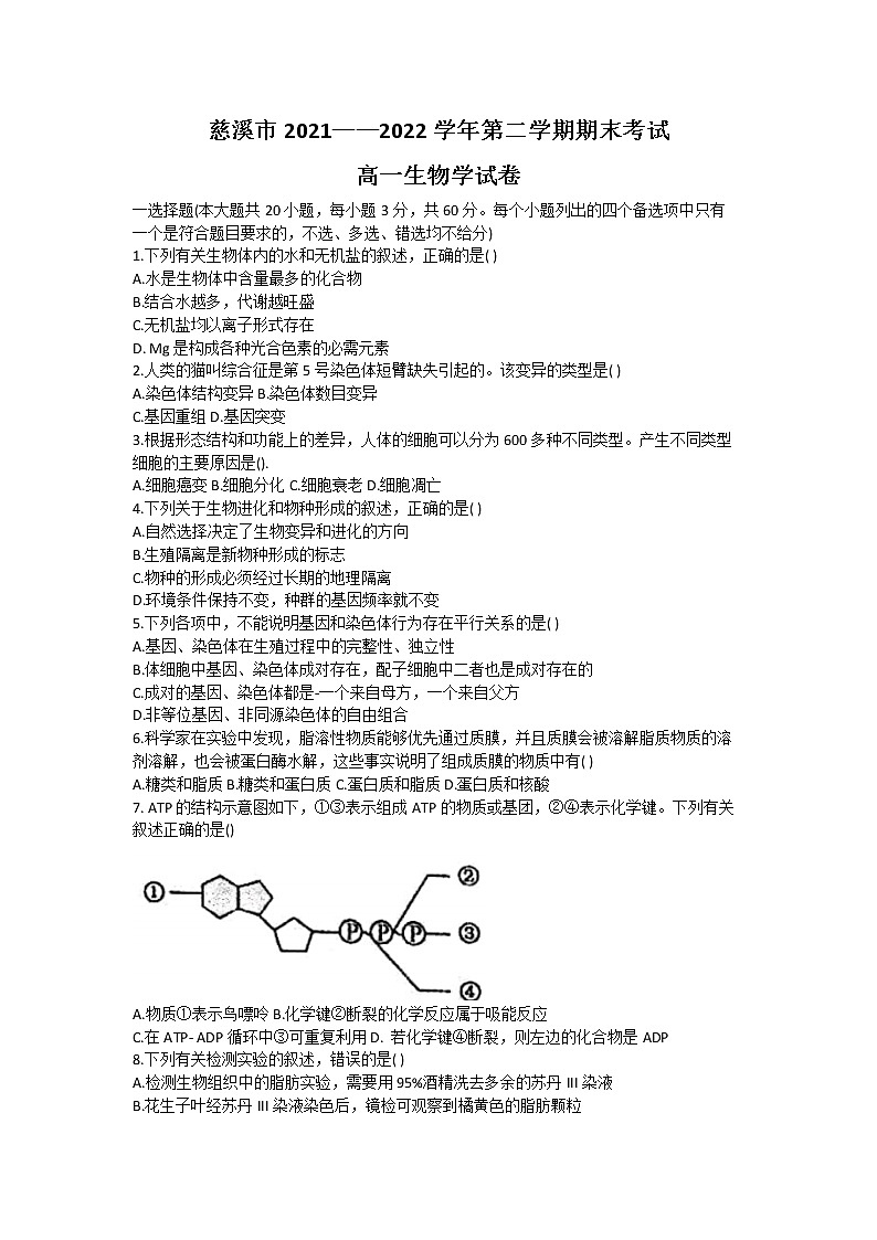 2022宁波慈溪高一下学期期末测试生物含答案01