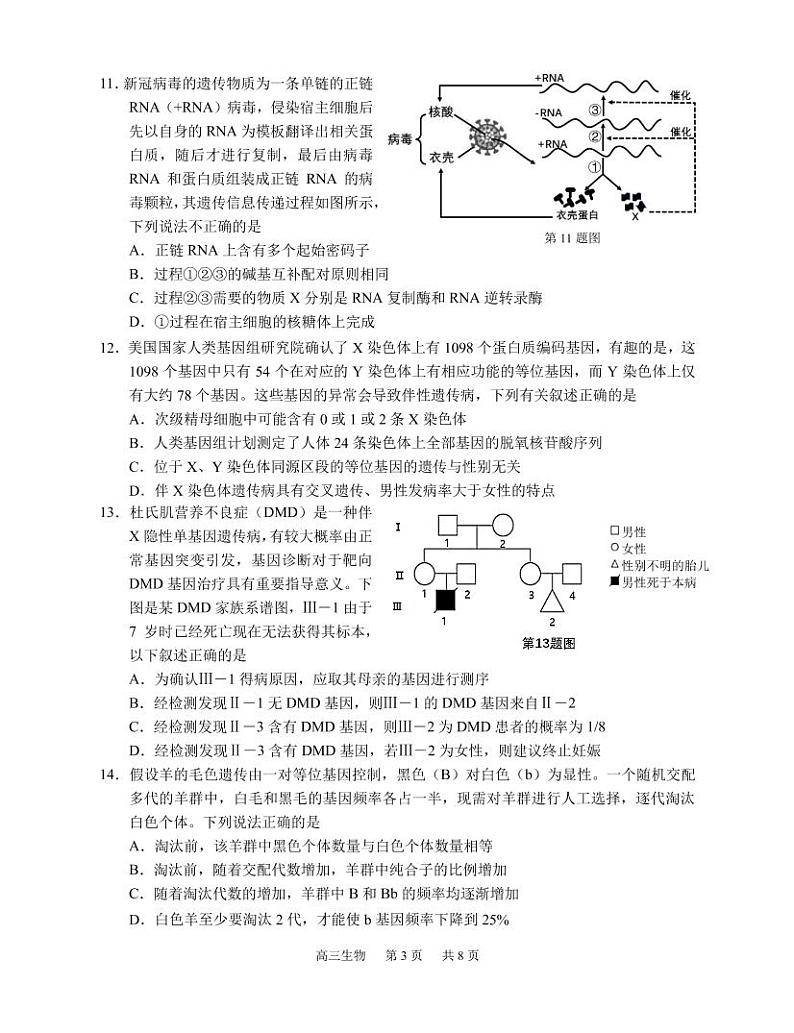 2022重庆市高三下学期学业质量调研抽测（第二次）生物（pdf版含答案）03