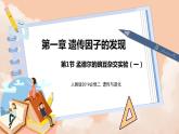 1.1《孟德尔的豌豆杂交实验（一）》第一课时课件ppt+教案