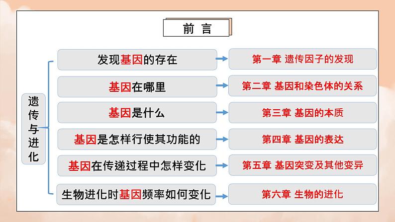 1.1《孟德尔的豌豆杂交实验（一）》第一课时课件ppt+教案02