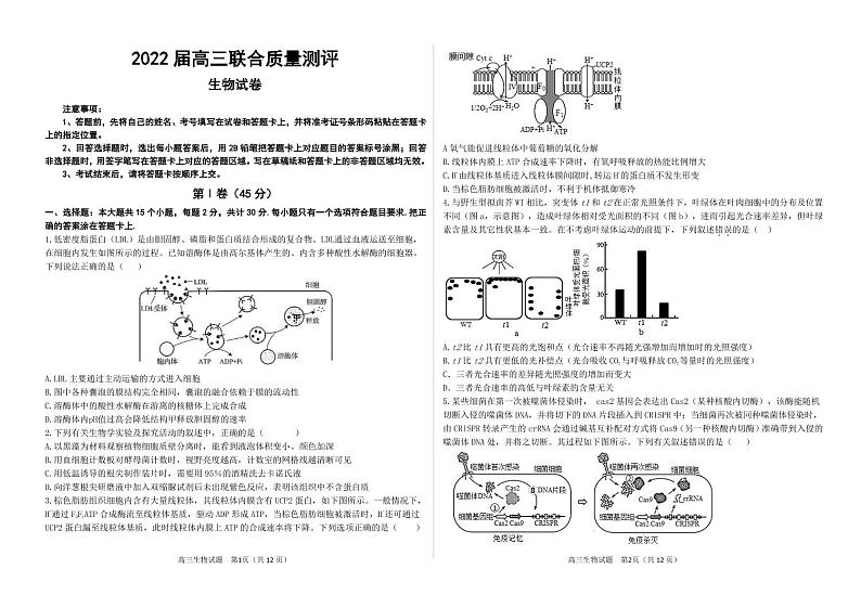 生物试题第1页