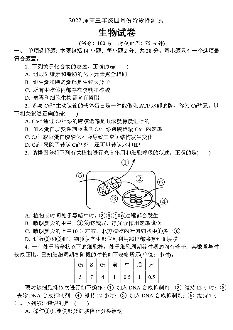 2022江苏省如东高级中学、姜堰中学、沭阳高级中学高三下学期4月份阶段性测试三校联考生物试卷第1页