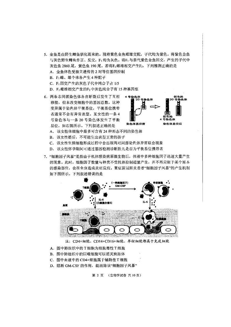 2022大连高三第一次模拟考试生物PDF版试题第2页