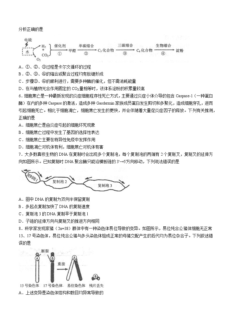 辽宁省锦州市2022届高三第一次质量检测生物试题含答案第2页
