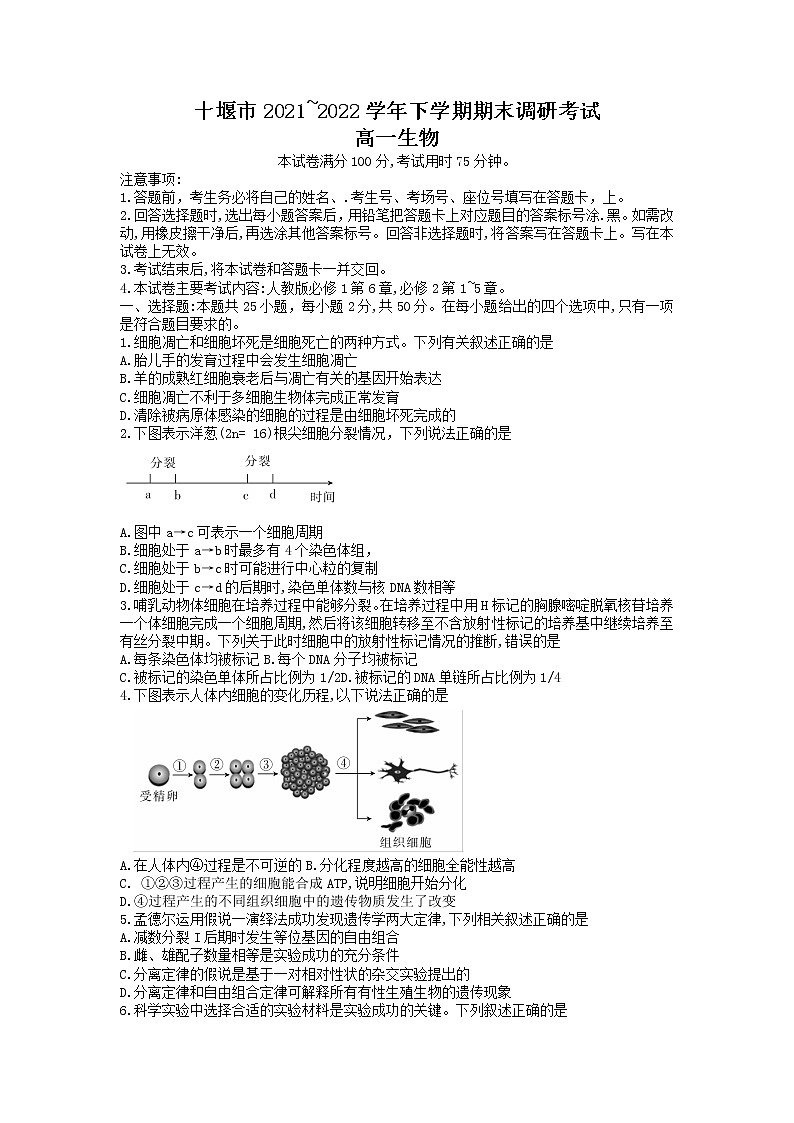 湖北省十堰市2021-2022学年高一下学期期末调研考试生物试题第1页