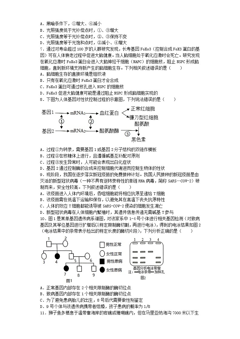 2021黄石有色一中高三下学期5月模拟考试生物试题含答案第3页