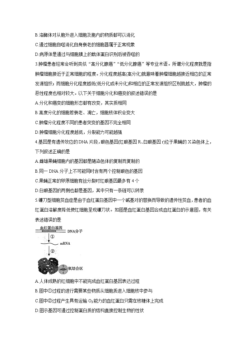 2021辽宁省高三下学期决胜新高考名校交流5月联考生物含答案 试卷02