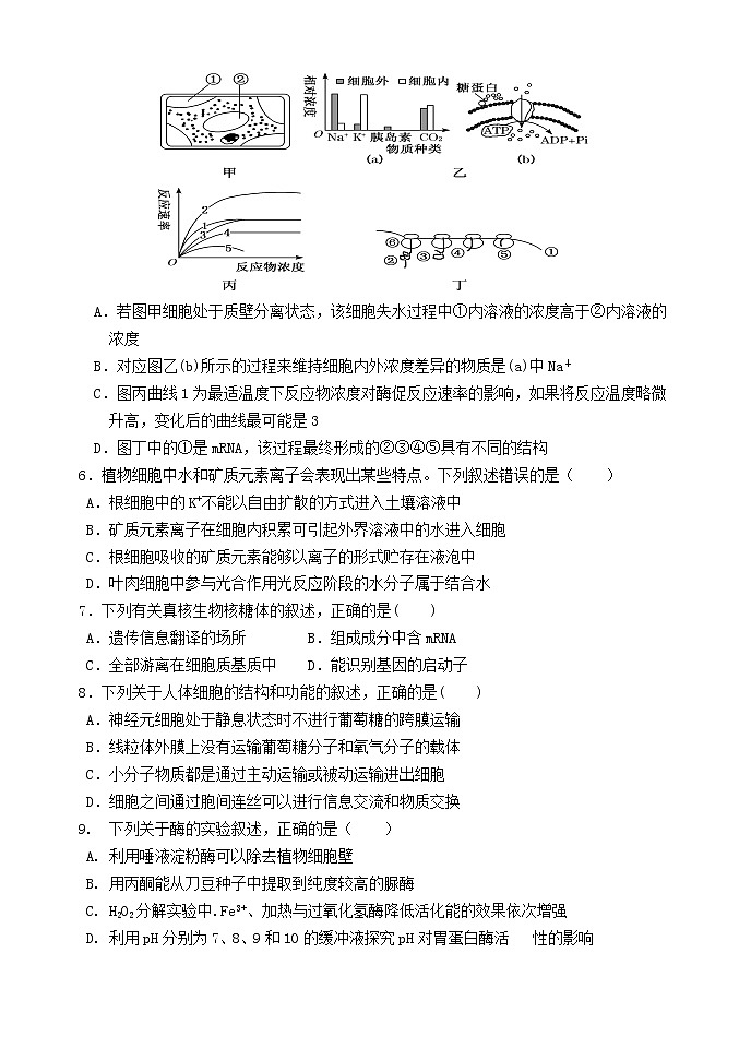 2021级高三10月考生物试卷(1)第2页