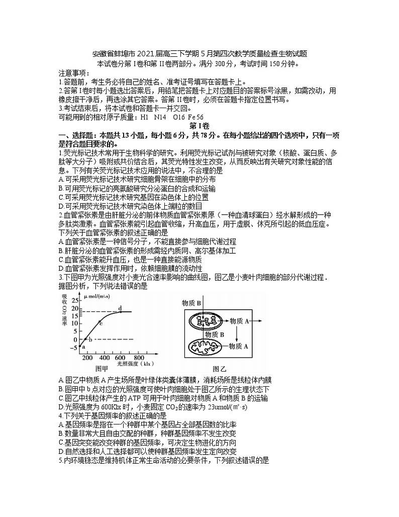 2021蚌埠高三下学期5月第四次教学质量检查生物试题含答案01