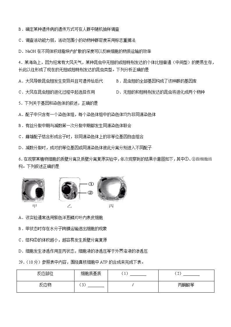 2021省哈尔滨九中高三下学期第五次模拟考试理综生物试题含答案02