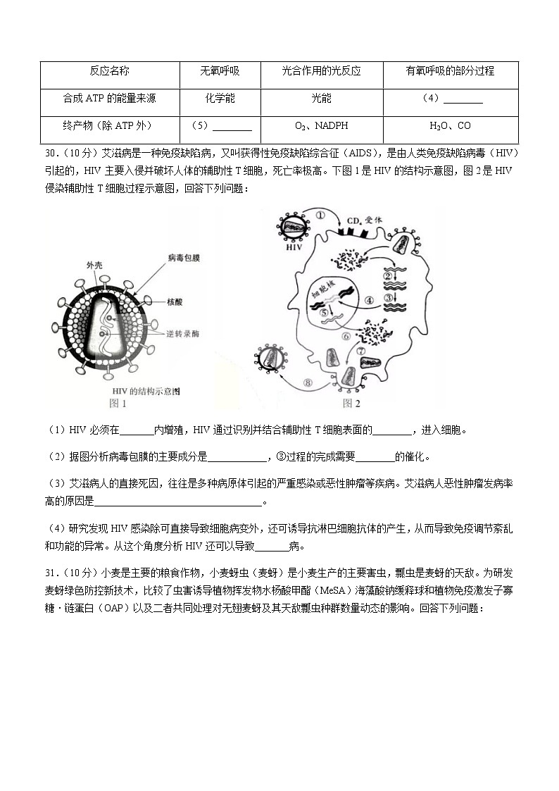 2021省哈尔滨九中高三下学期第五次模拟考试理综生物试题含答案03