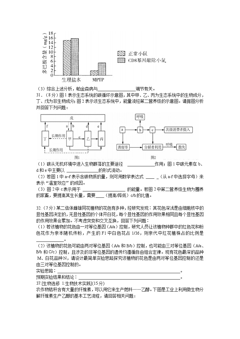 2021蚌埠二中高三下学期6月最后一卷理科综合生物试题含答案03
