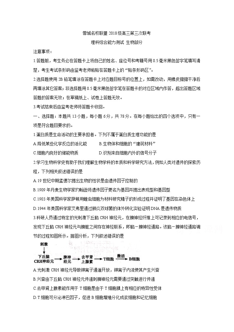 2021成都蓉城名校联盟高三下学期4月第三次联考生物含答案 试卷01