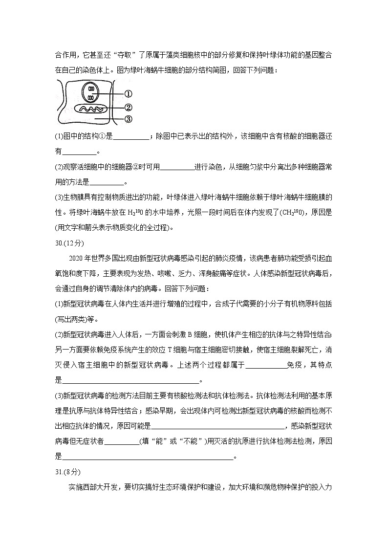 2021成都蓉城名校联盟高三下学期4月第三次联考生物含答案 试卷03