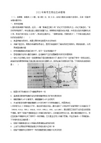 2021益阳箴言中学高三第十次模拟考试生物含答案