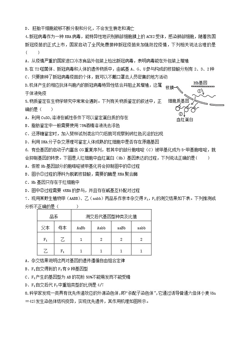 2021生物自主命题 Microsoft Office Word 97 - 2003 文档第2页