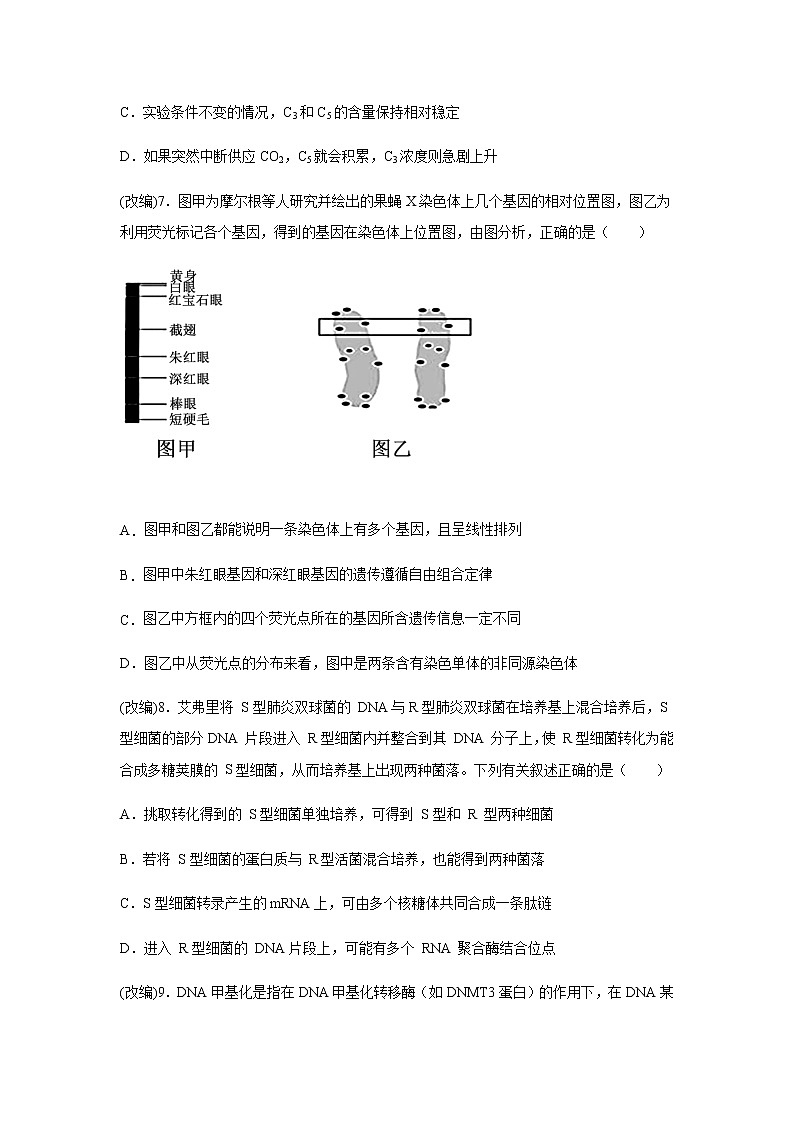 2021重庆江津中学高三下学期5月高考全真模拟考试生物试题含答案第3页
