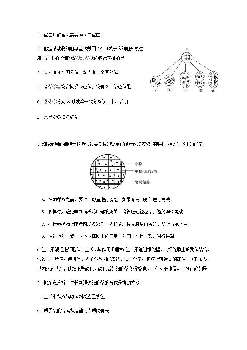 2021连城县一中高三下学期5月高考校模拟生物试题含答案第2页