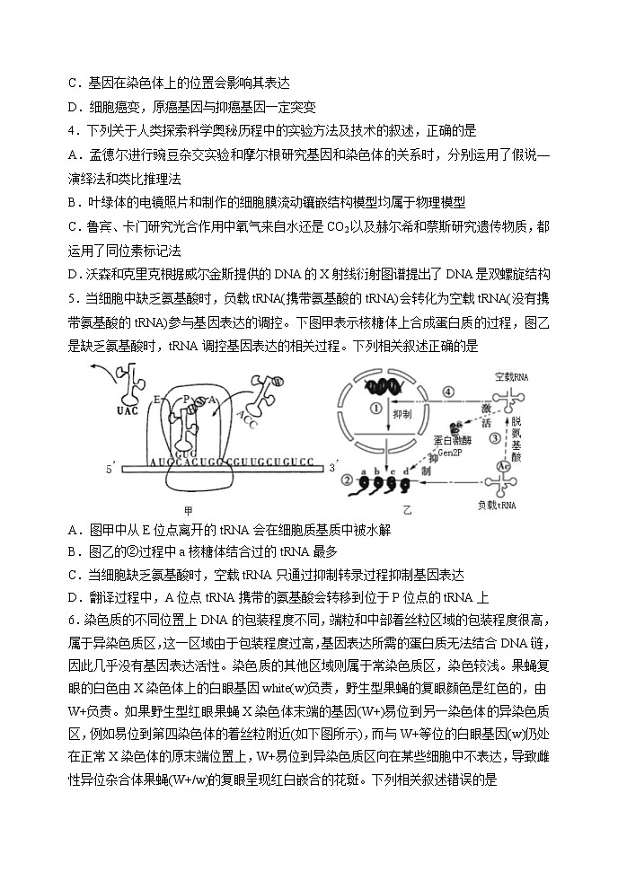 2021山东省中学联盟高三下学期5月高考考前热身押题（一）生物试题含答案02