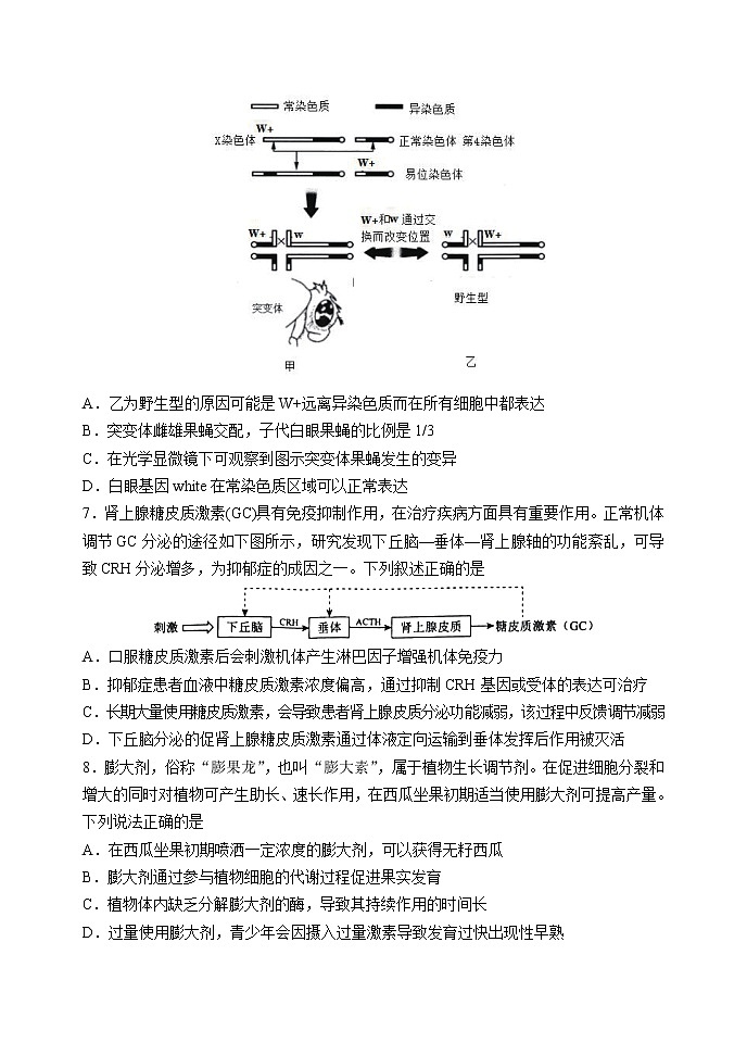 2021山东省中学联盟高三下学期5月高考考前热身押题（一）生物试题含答案03