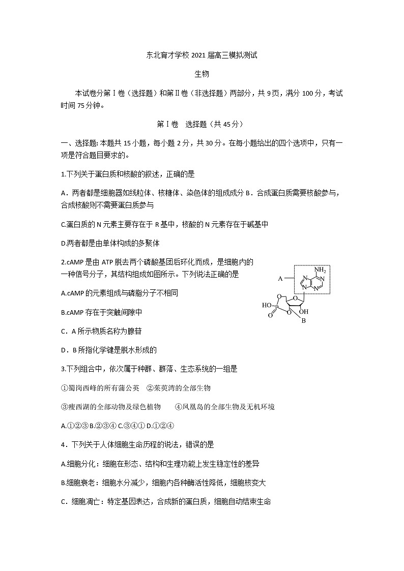 2021沈阳东北育才学校高三下学期5月第九次模拟考试生物试题含答案01