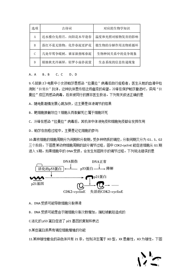 2021沈阳东北育才学校高三下学期5月第九次模拟考试生物试题含答案03