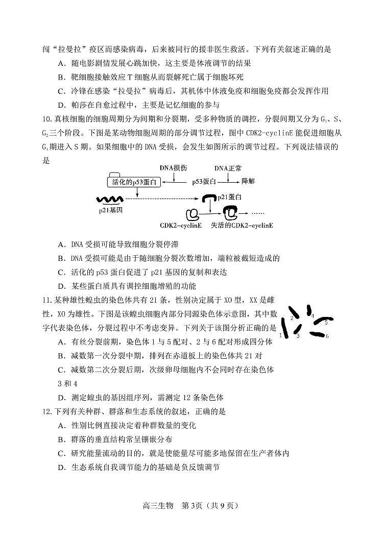 生物试卷育才5.18高三模拟考试第3页