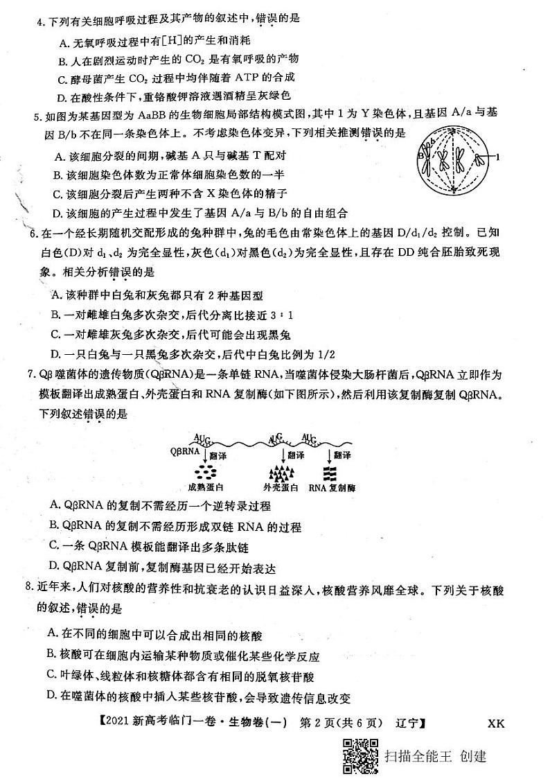 辽宁省2021年高三临门一卷（一）生物试题第2页
