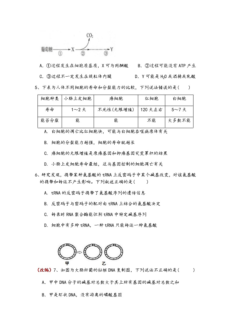 2021重庆綦江中学高三下学期5月考前模拟考试生物试题含答案第2页