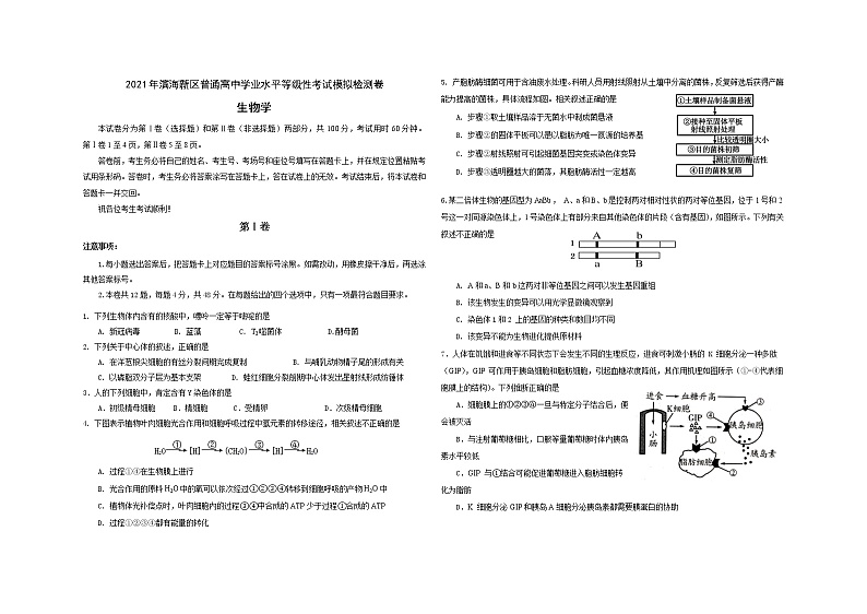 2021天津滨海新区高三下学期普通高中学业水平等级性考试模拟检测（三模）生物试题含答案01