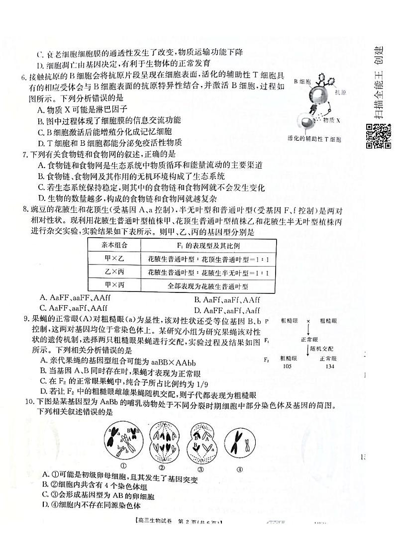 2021沧州高三下学期5月第三次模拟考试生物试题扫描版含答案02